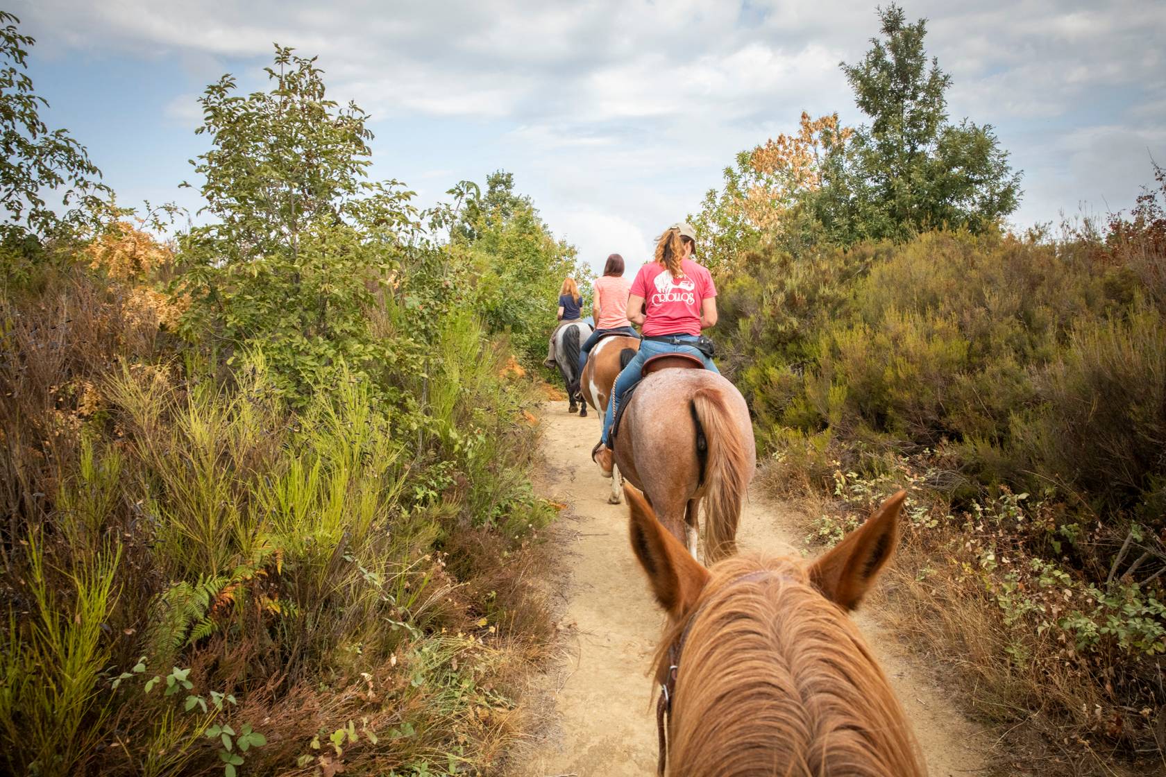 Western riding holidays for adults | Tuscany
